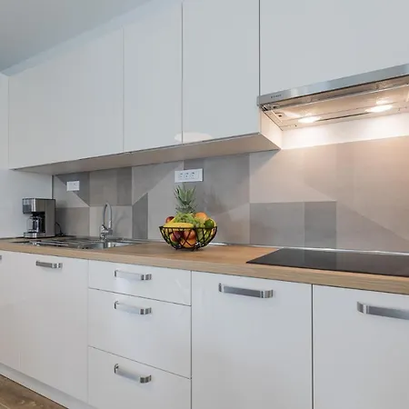 Holiday House Roza Villa Lovinac (Zadar)